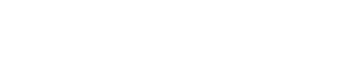 HOLISTICAM